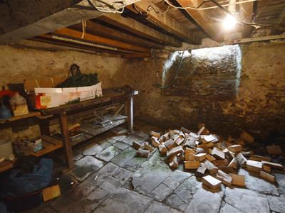Cellar